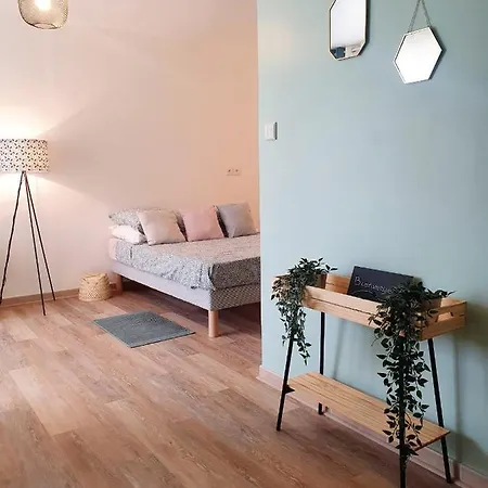Fonctionnel Au Calme Avec Garage Individuel Et Balcon * Lyon